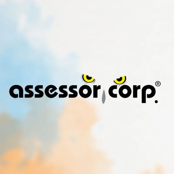 ASSESSOR CORP